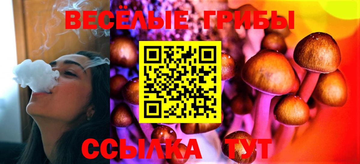 Псилоцибиновые грибы Magic Shrooms Междуреченск